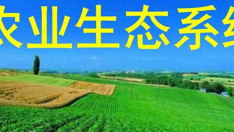 农资批发公司代理，你准备好了吗？**