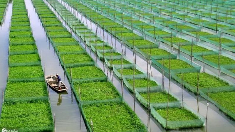 温室种植流程步骤及参数设置全解析