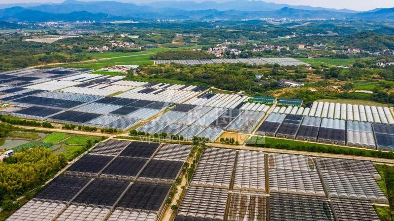 2025年全国农产品批发市场展会排期怎么看