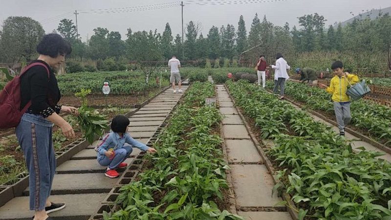 智慧农业大数据平台：政府项目招标标准解析