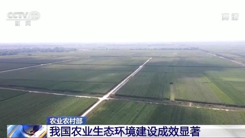绿色食品认证代理怎么选择