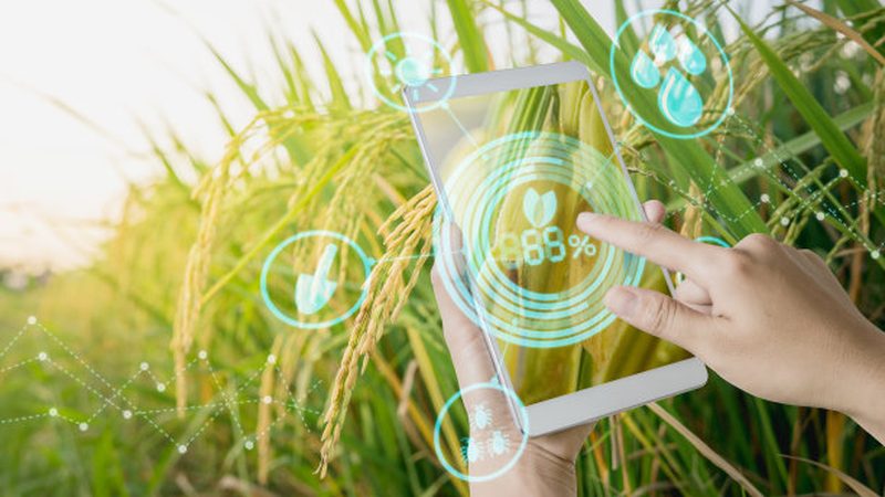 现代农业设备：如何选择合适的厂家与报价**