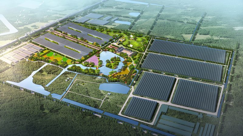粮食种植土壤检测：标准与重要性
