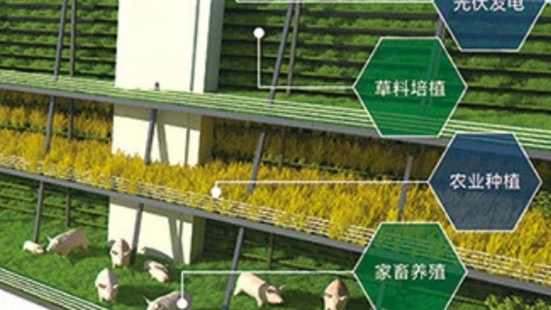 农业产业园运营管理，如何找到合适的合作伙伴？**