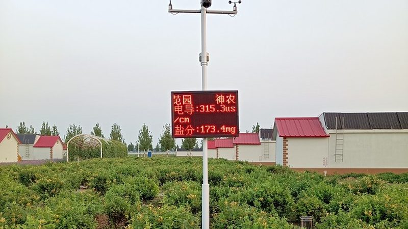 农产品批发代理：如何通过利润分析表精准评估盈利潜力**