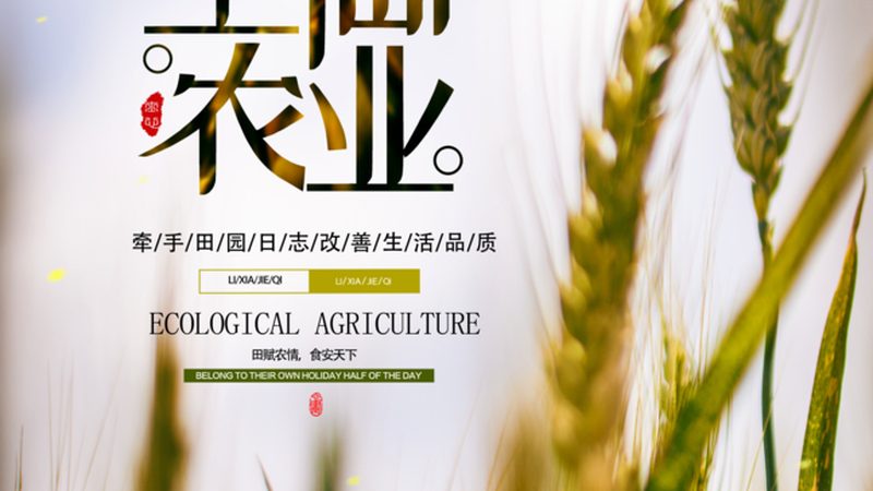 智慧农业大数据平台：农业现代化的数据引擎